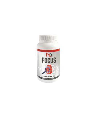 Focus HA